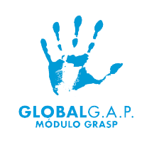 Global GRASP